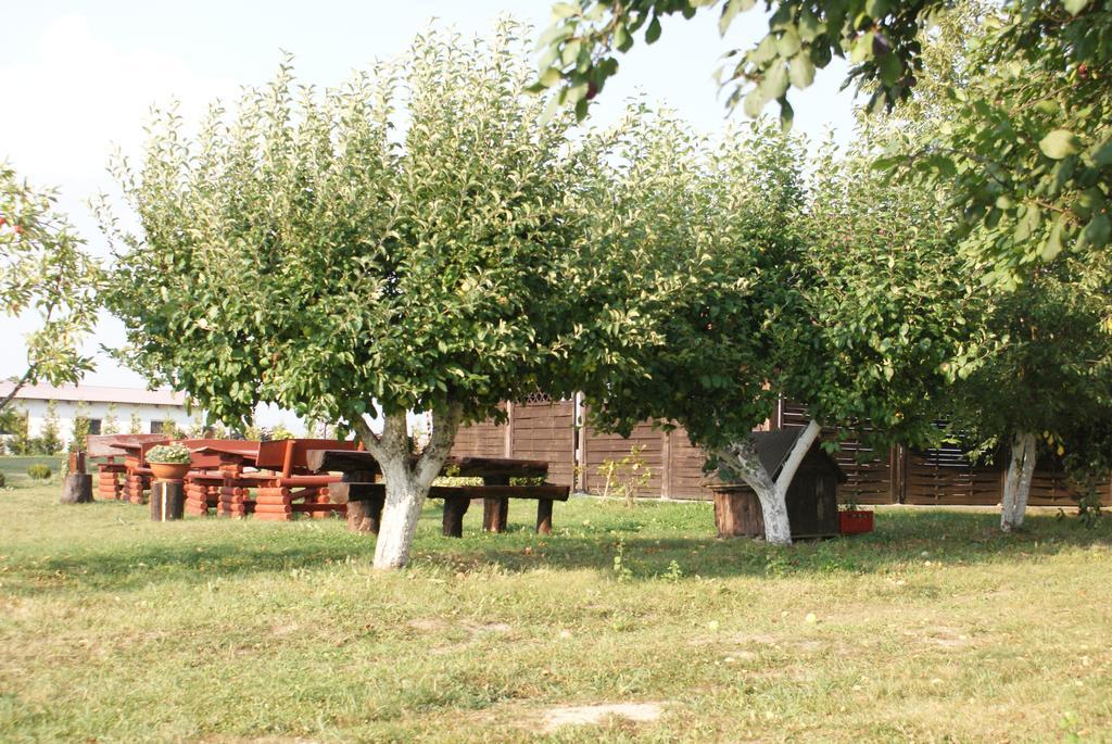 Zacisze Mazury Kętrzyn Exterior foto